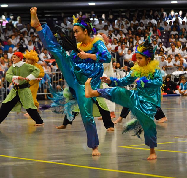 Competitors in elaborate bird-themed costumes performing a high kick during a Creativity routine.